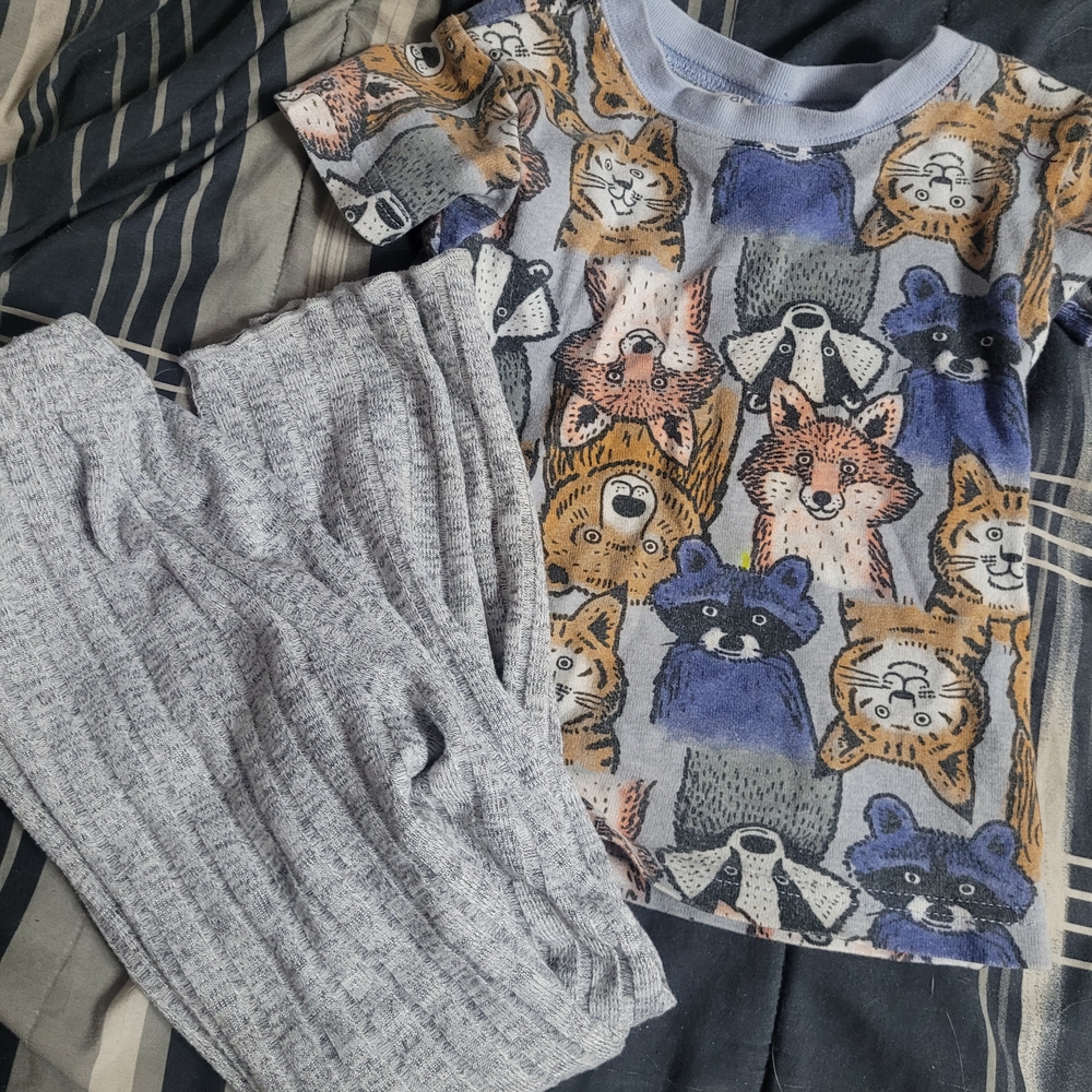 Carter's Animal Print T-Shirt and Gray Pants Set
